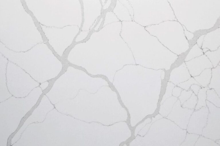 Statuario vene grigie detail