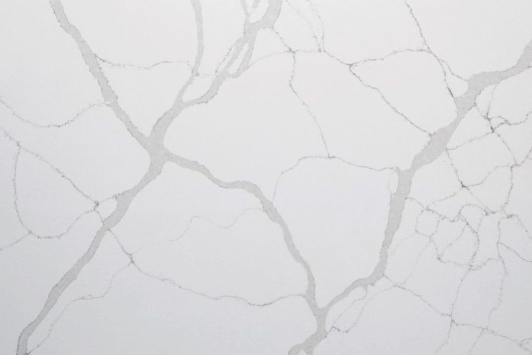 Statuario vene grigie detail